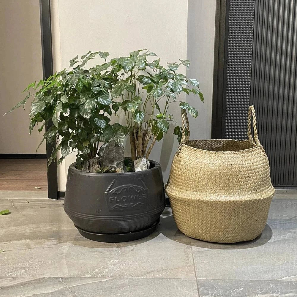 Panier en jonc de mer naturel et léger à côté d'un pot de plante décorative sur le sol intérieur