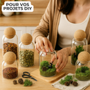 bocaux en verre pour projets diy