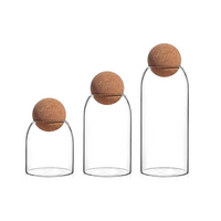 Lot de 3 bocaux en verre avec bouchon de liège – Rangement alimentaire hermétique et décoratif